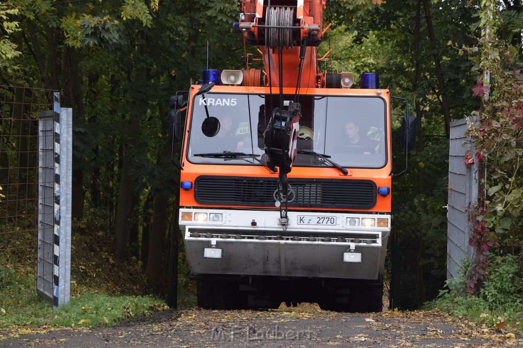 Einsatz BF Koeln PKW im See Koeln Esch P246.JPG - Miklos Laubert